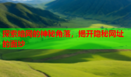 探索暗网的神秘角落，揭开隐秘网址的面纱