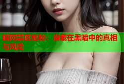 暗网禁区揭秘：潜藏在黑暗中的真相与风险
