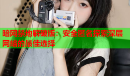 暗网禁地解破版：安全匿名探索深层网络的最佳选择