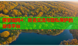 探索暗网4：匿名交流与隐私保护的最佳平台