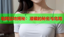 暗网禁地揭秘：潜藏的秘密与危险