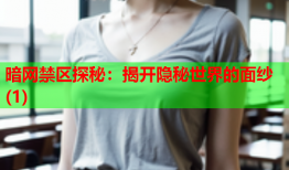 暗网禁区探秘：揭开隐秘世界的面纱(1)