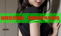 暗网禁区揭秘：潜藏的恐怖与真相
