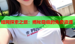 暗网探索之旅：揭秘隐藏的免费资源