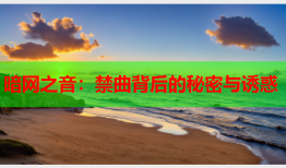 暗网之音：禁曲背后的秘密与诱惑