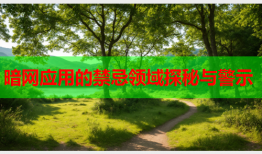 暗网应用的禁忌领域探秘与警示