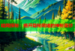 暗网探秘：揭开隐秘网络的神秘面纱