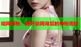 暗网探秘：揭开禁网背后的神秘面纱