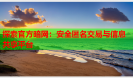探索官方暗网：安全匿名交易与信息共享平台