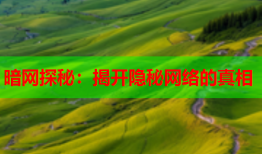 暗网探秘：揭开隐秘网络的真相