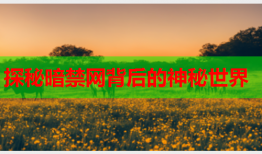 探秘暗禁网背后的神秘世界