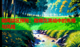 暗网禁区探秘：隐藏在黑暗中的真相与风险