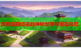 探索暗网域名的神秘世界与潜在风险