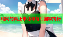 暗网的真正来源与背后国家揭秘