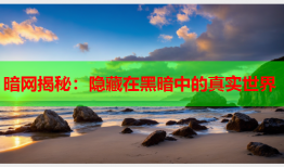 暗网揭秘：隐藏在黑暗中的真实世界