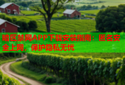 暗区禁网APP下载安装指南：匿名安全上网，保护隐私无忧