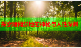 探索暗网禁地的神秘与人性深渊