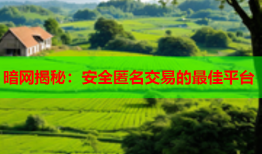 暗网揭秘：安全匿名交易的最佳平台
