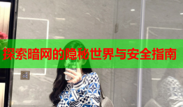 探索暗网的隐秘世界与安全指南
