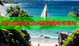 手机也能轻松访问暗网的秘密揭秘