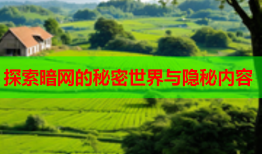 探索暗网的秘密世界与隐秘内容
