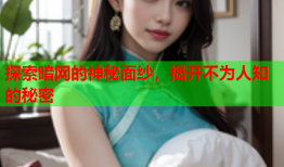 探索暗网的神秘面纱，揭开不为人知的秘密