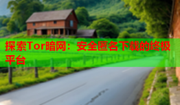 探索Tor暗网：安全匿名下载的终极平台