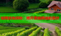暗网禁地探秘：揭开黑暗网络的面纱