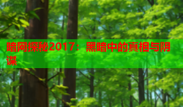 暗网探秘2017：黑暗中的真相与阴谋