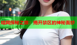 暗网探秘之旅：揭开禁区的神秘面纱