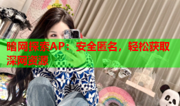 暗网探索AP：安全匿名，轻松获取深网资源