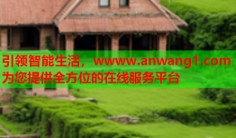 引领智能生活，wwww.anwang1.com为您提供全方位的在线服务平台
