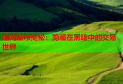 暗网黑市揭秘：隐藏在黑暗中的交易世界