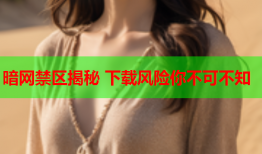 暗网禁区揭秘 下载风险你不可不知