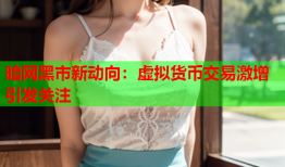 暗网黑市新动向：虚拟货币交易激增引发关注