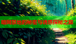 暗网禁地的秘密与诱惑探秘之旅