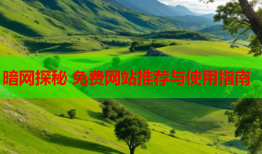 暗网探秘 免费网站推荐与使用指南