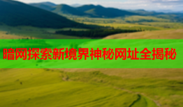 暗网探索新境界神秘网址全揭秘