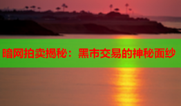 暗网拍卖揭秘：黑市交易的神秘面纱