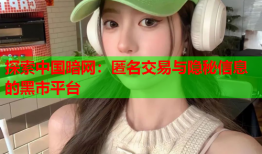 探索中国暗网：匿名交易与隐秘信息的黑市平台
