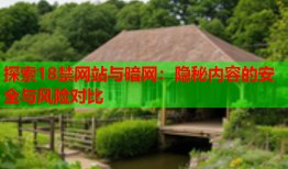 探索18禁网站与暗网：隐秘内容的安全与风险对比