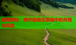 暗网探秘：揭开隐藏在黑暗中的真相与风险