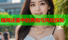 暗网迷雾中的真相与风险探秘
