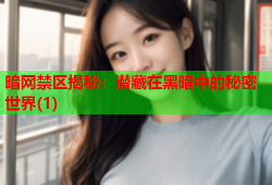 暗网禁区揭秘：潜藏在黑暗中的秘密世界(1)