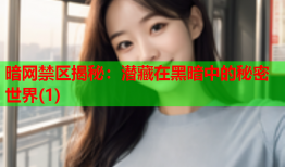暗网禁区揭秘：潜藏在黑暗中的秘密世界(1)