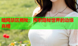 暗网禁区揭秘：探索隐秘世界的边缘真相