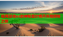 暗网禁地xz的神秘面纱揭开真相探秘之旅