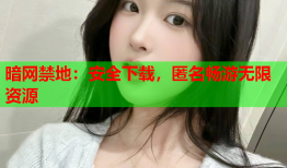 暗网禁地：安全下载，匿名畅游无限资源