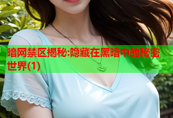 暗网禁区揭秘:隐藏在黑暗中的秘密世界(1)