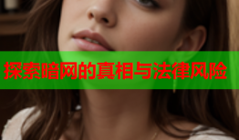 探索暗网的真相与法律风险